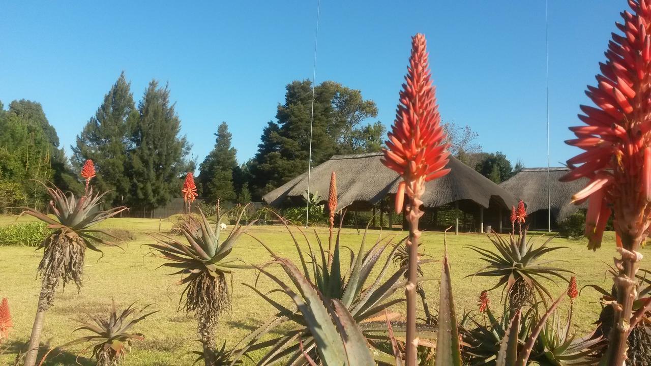 African Flair Country Lodge Piet Retief Kültér fotó