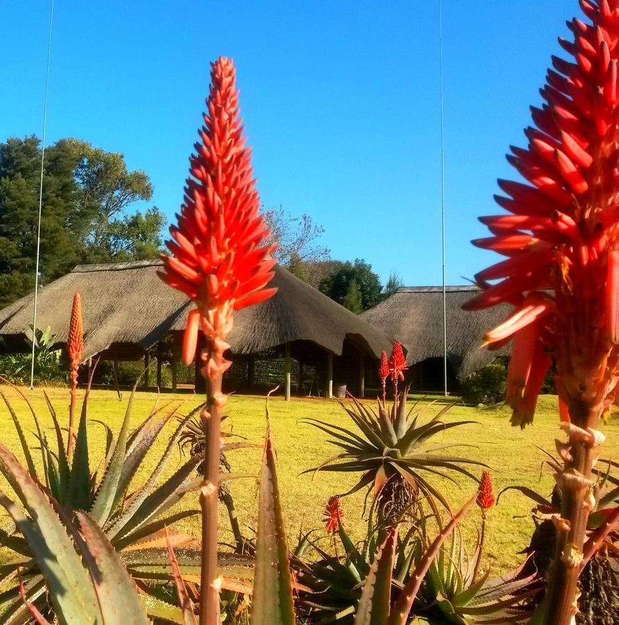 African Flair Country Lodge Piet Retief Kültér fotó