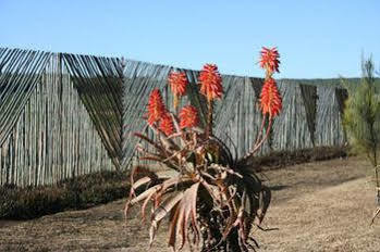 African Flair Country Lodge Piet Retief Kültér fotó
