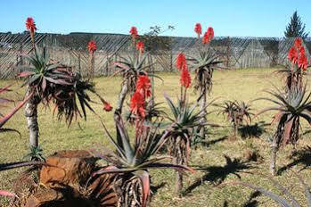 African Flair Country Lodge Piet Retief Kültér fotó