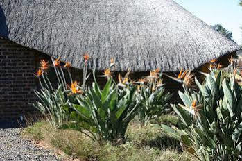 African Flair Country Lodge Piet Retief Kültér fotó